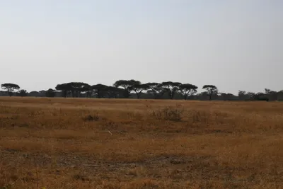 DSC_3385 (Large).JPG